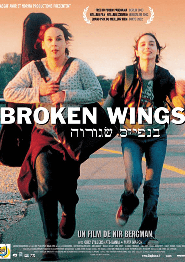 BROKEN WINGS